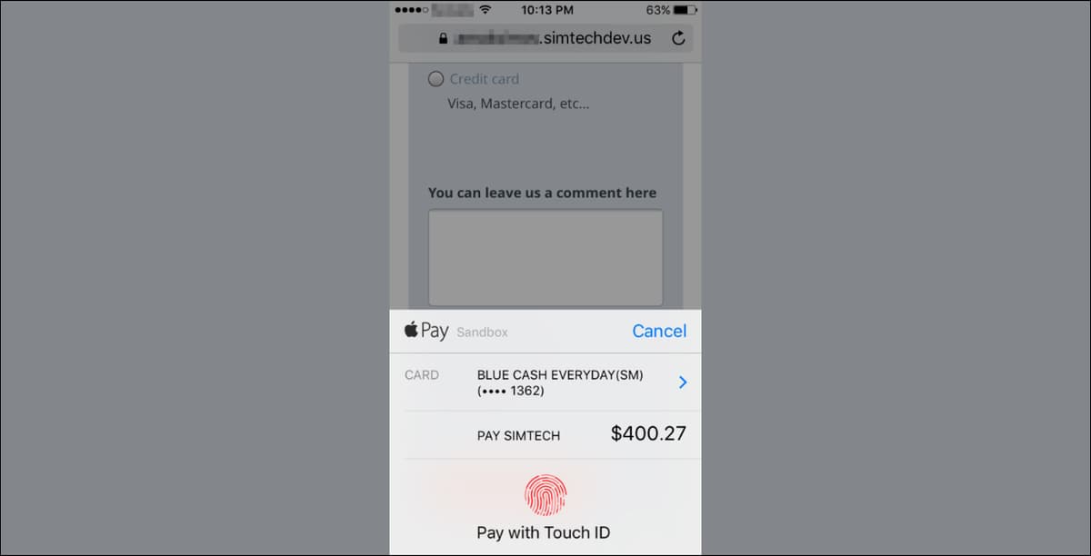 Apple Pay