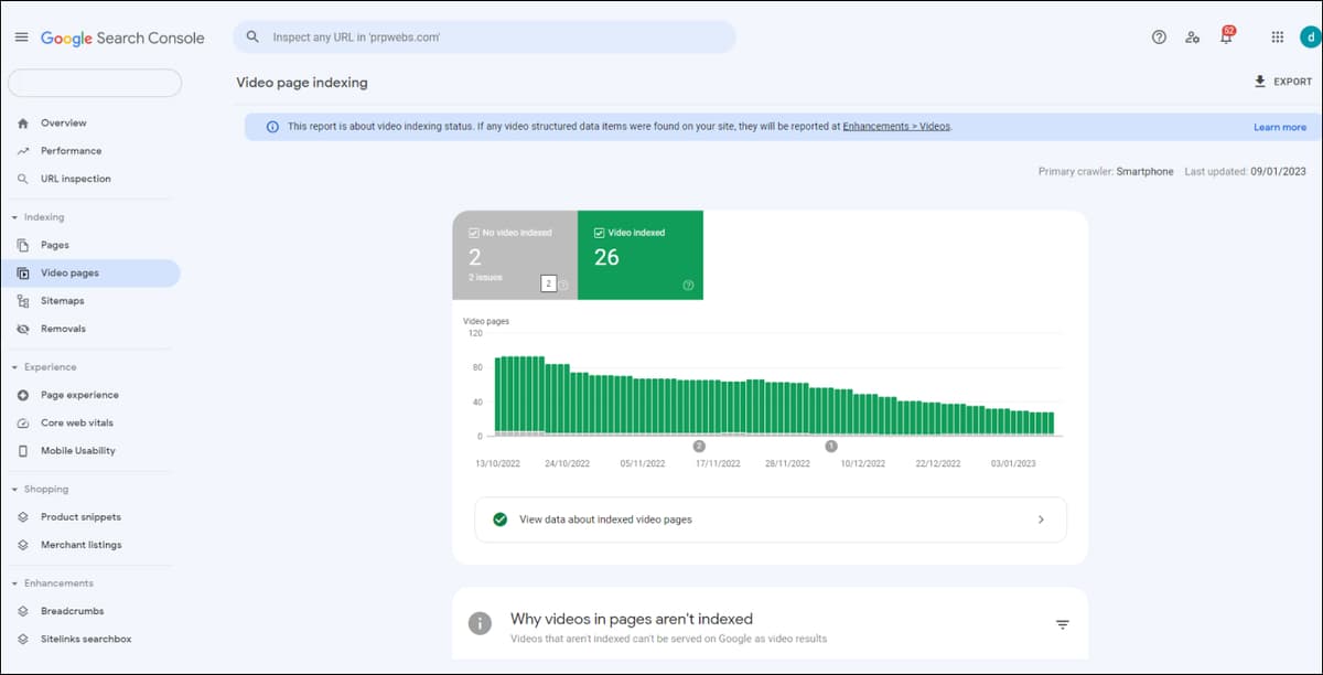 Video Indexing Issue Report