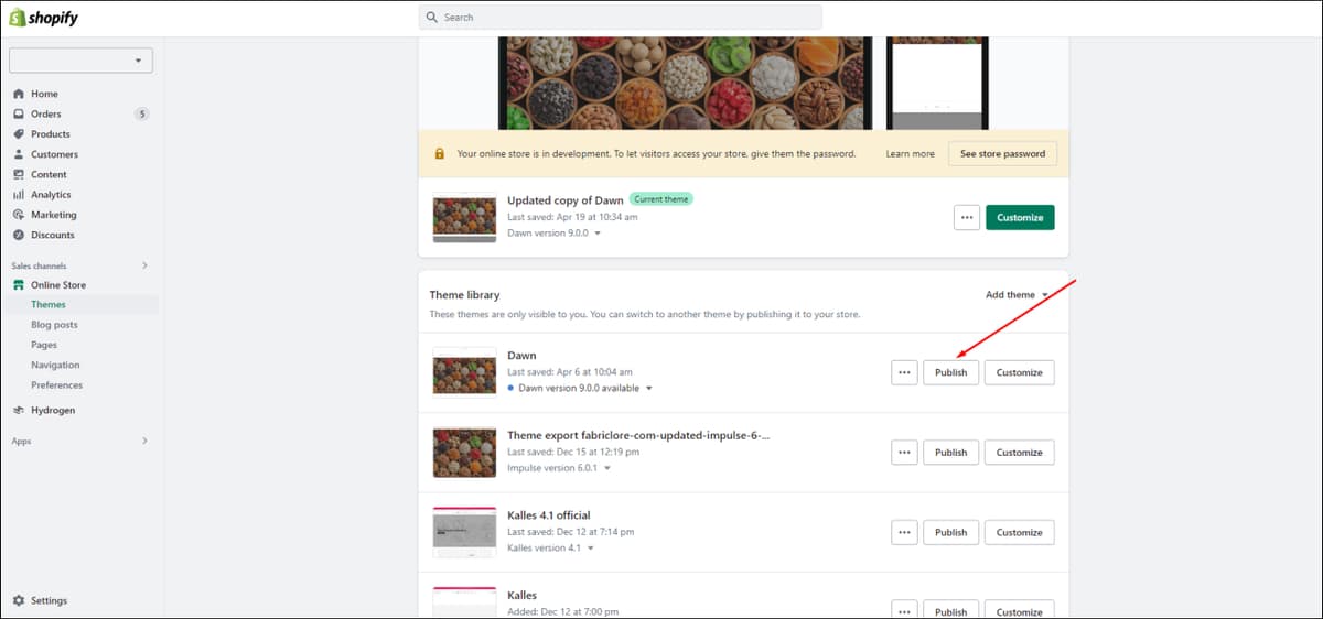 Shopify Theme Publish 