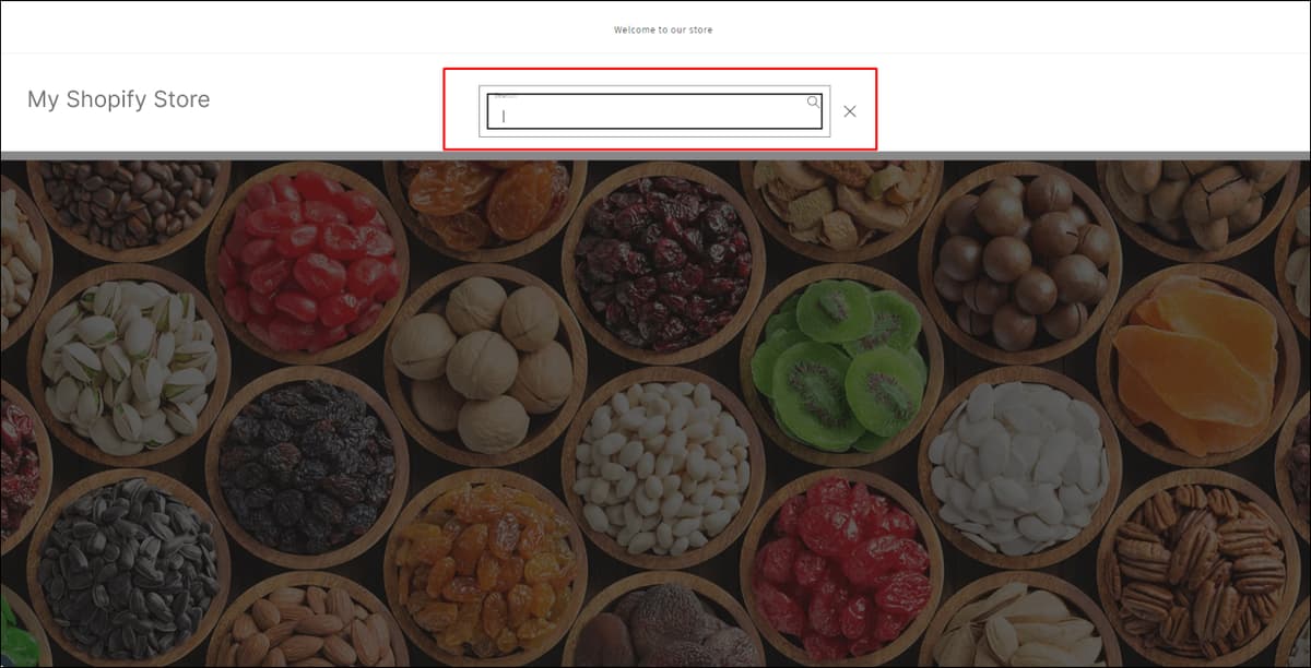 Search Bar on Shopify Store