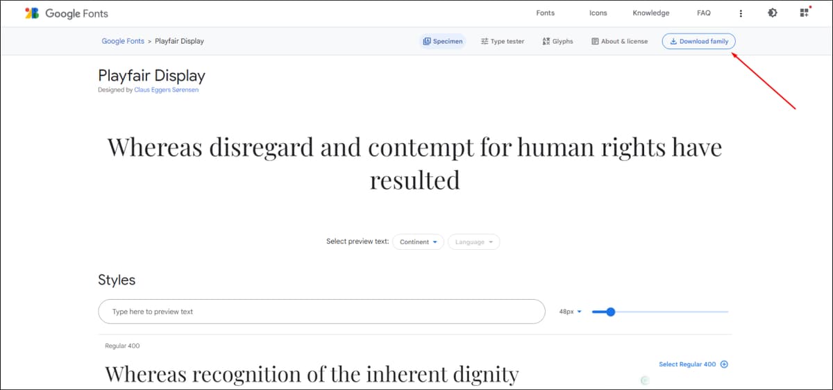 Google Download Font Family