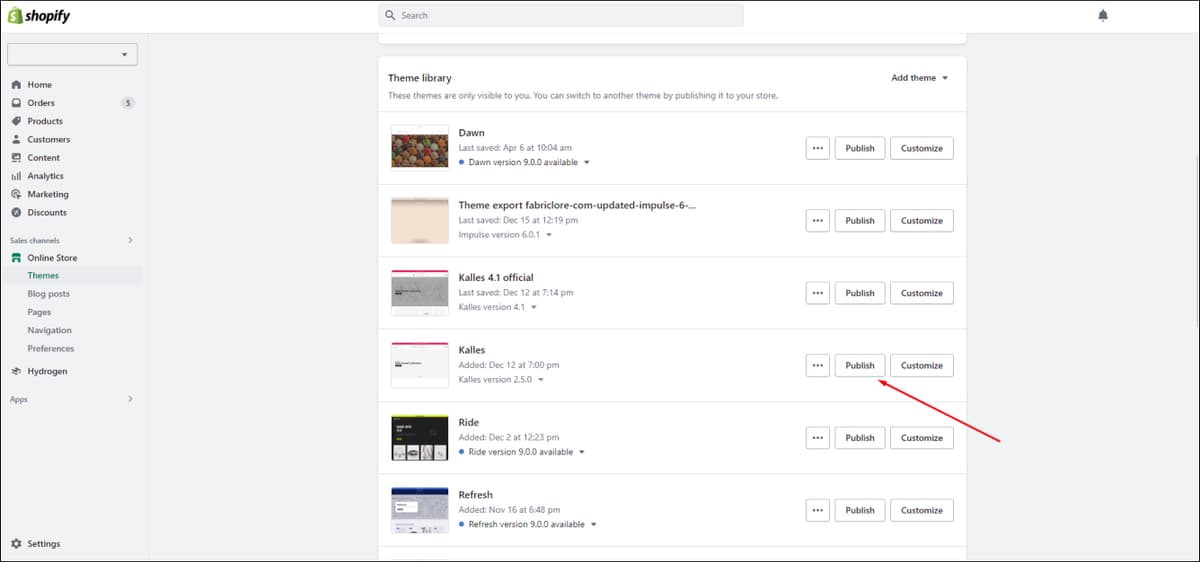 Shopify Theme Publish